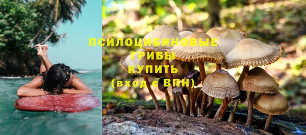 ГАЛЛЮЦИНОГЕННЫЕ ГРИБЫ Бугульма