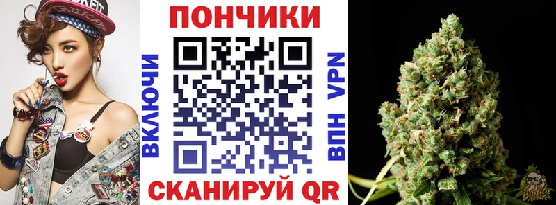дарнет шоп  Гурьевск  Бошки марихуана SATIVA & INDICA 